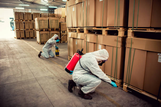 Best Termite Control Services  in Redan, GA