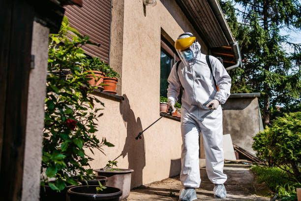 Best Pest Removal Services  in Redan, GA