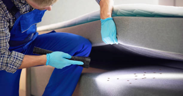 Best Pest Prevention Services  in Redan, GA